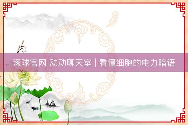 滚球官网 动动聊天室 | 看懂细胞的电力暗语