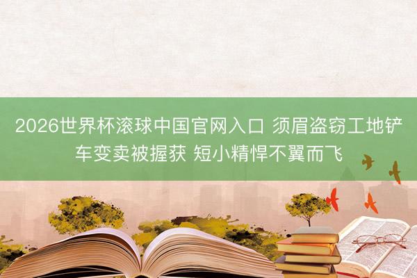 2026世界杯滚球中国官网入口 须眉盗窃工地铲车变卖被握获 短小精悍不翼而飞