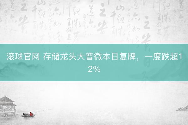 滚球官网 存储龙头大普微本日复牌，一度跌超12%