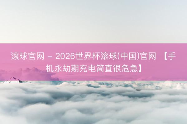 滚球官网 - 2026世界杯滚球(中国)官网 【手机永劫期充电简直很危急】