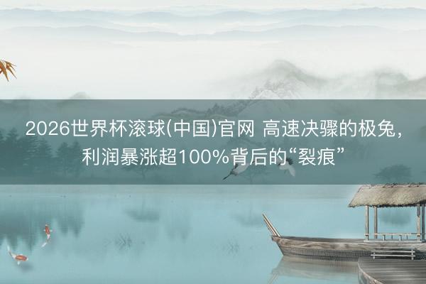 2026世界杯滚球(中国)官网 高速决骤的极兔，利润暴涨超100%背后的“裂痕”