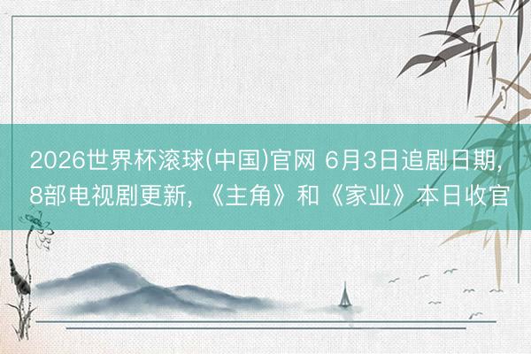 2026世界杯滚球(中国)官网 6月3日追剧日期， 8部电视剧更新， 《主角》和《家业》本日收官