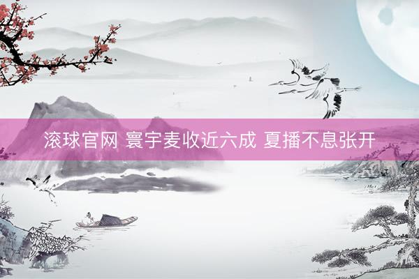 滚球官网 寰宇麦收近六成 夏播不息张开
