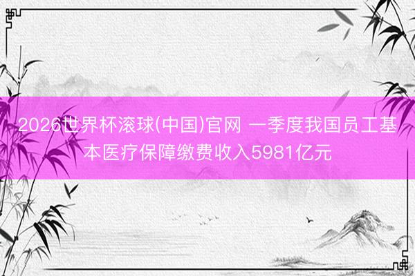 2026世界杯滚球(中国)官网 一季度我国员工基本医疗保障缴费收入5981亿元