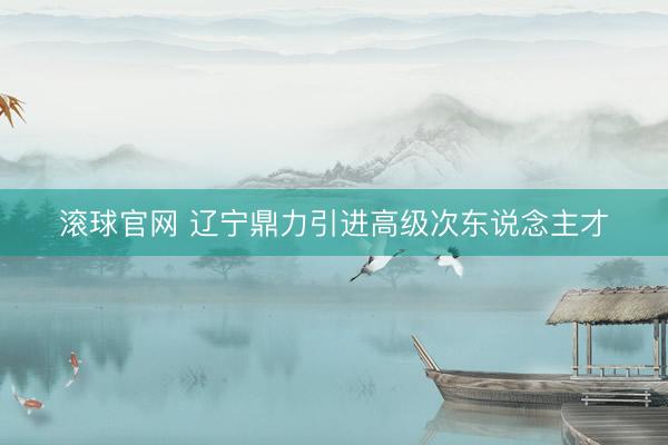 滚球官网 辽宁鼎力引进高级次东说念主才