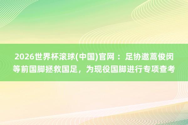 2026世界杯滚球(中国)官网 :足协邀蒿俊闵等前国脚拯救国足,为现役国脚进行专项查考
